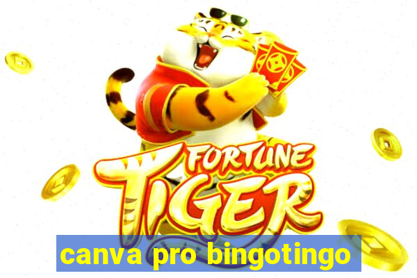 canva pro bingotingo